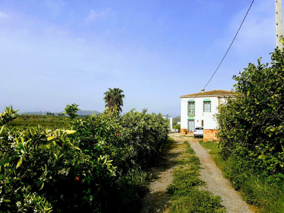 Casa Rural La Estrella Писарра Экстерьер фото